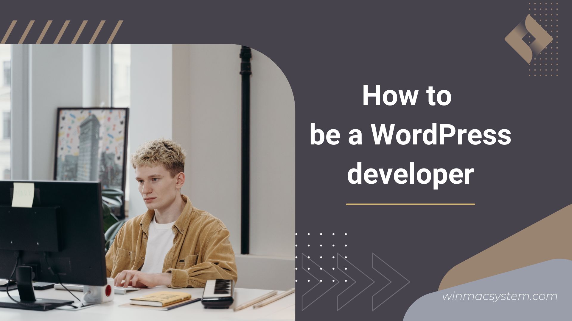 how to be a wordpress developer